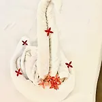 Royal Swan Appartement, Tirol Διαμέρισμα *