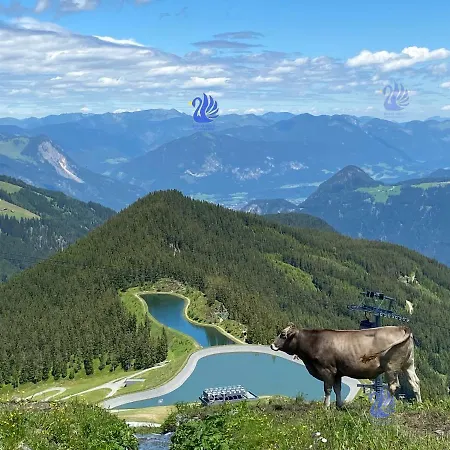 Royal Swan Appartement, Tirol شقة *