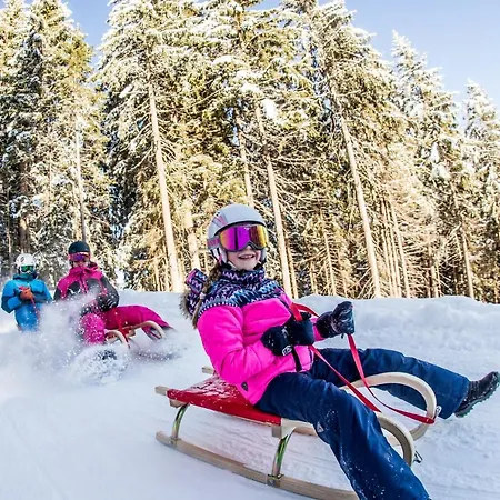 Royal Swan Appartement, Tirol 푸겐