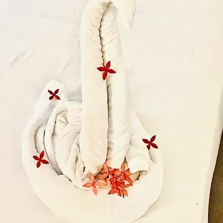 Royal Swan Appartement, Tirol شقة *