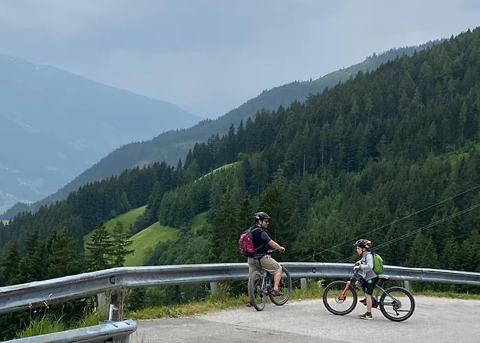 Royal Swan Appartement, Tirol * Fuegen