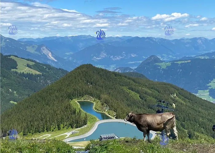 Royal Swan Appartement, Tirol Lejlighed *